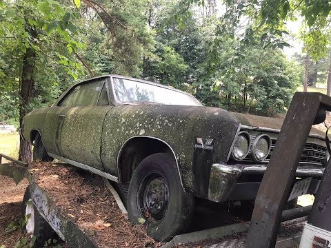 LONG LOST STREET RACING LEGEND 1967 CHEVELLE SS396 FOUND PARKED ON A CAR HAULER IN A SALVAGE YARD