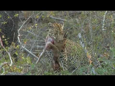 Joining Karula's Family for Dinner June 28,  2016