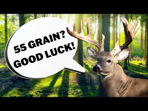 Varmint Round For Deer Hunting