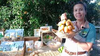 มะยงชิดเงินแสน Young Smart Farmer Chaingmai