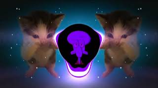Download lagu DJ KICAU KICAU MANIA REMIX GASS POL DANGAK VIRAL TIKTOK TERBARU 2026 mp3 Download lagu DJ KICAU KICAU MANIA REMIX GASS POL DANGAK VIRAL TIKTOK TERBARU 2026 mp3