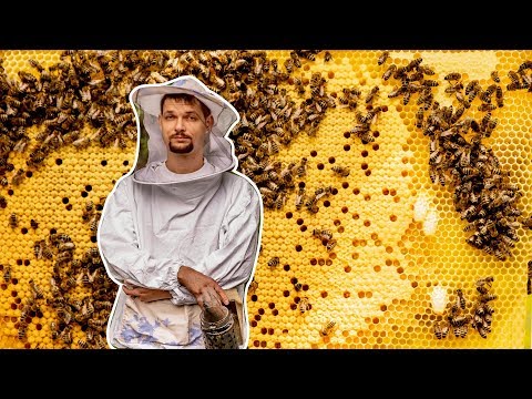 , title : 'Včelárstvo na východe Slovenska | Čo včelár robí aby mu neušli včely 🐝 a prečo sa na ne dymí [Vlog1]'