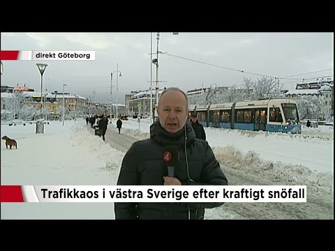 Blooper: "Jag har inte sett en enda spårvagn" - Nyheterna (TV4)