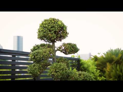 DIDIER DANET SA // Skyline & Rooftop à Neuilly-sur-Seine