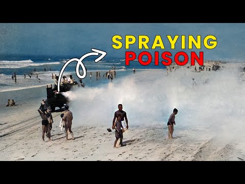 DDT: From Safest Chemical to Environmental Horror