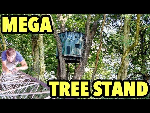 image-How high is too high for tree stand?