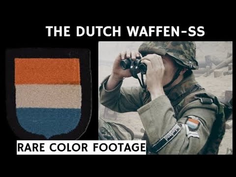 The Origins of The Dutch Waffen-SS (Volunteer Legion Nederlands)