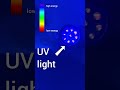 Supercharging Glow in the Dark Objects with UV light 😎🔦 #chemistry #shorts #education #science