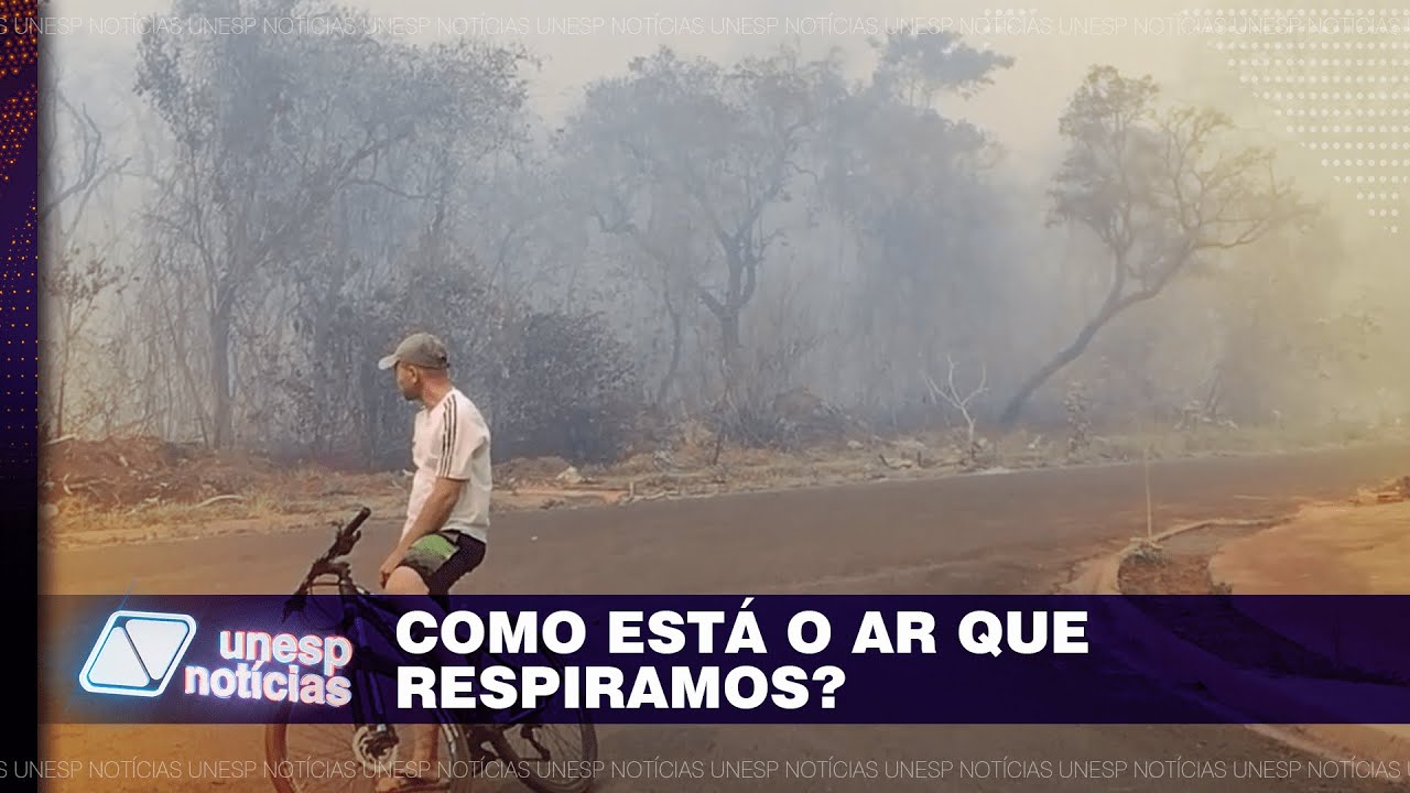 Tempo seco, fumaça, umidade: veja o que influencia na qualidade do ar e como ela é medida