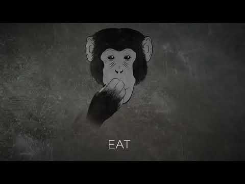 Monkey longest sentence