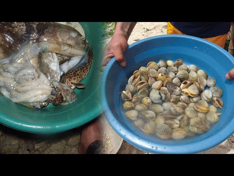 SE02EP033 Part 3 - GANITO KASAGANA ang KARAGATAN ng PAGBILAO | PANGINGILAW at PANGANGAPA ng TIRISIK