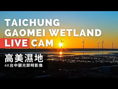 高美濕地即時影像