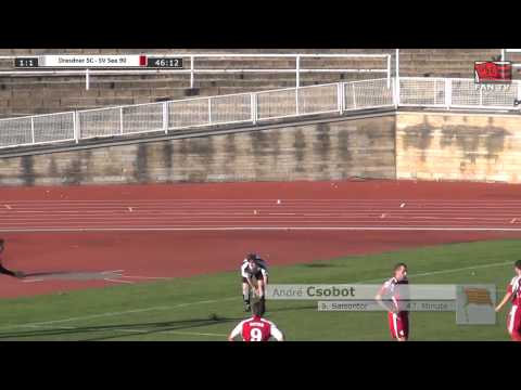 Tor: Dresdner SC 1898 1:1 SV See 90