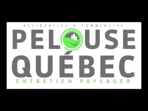 download lagu mp3 mp4 Entretien Pelouse Quebec, download lagu Entretien Pelouse Quebec gratis, unduh video klip Entretien Pelouse Quebec