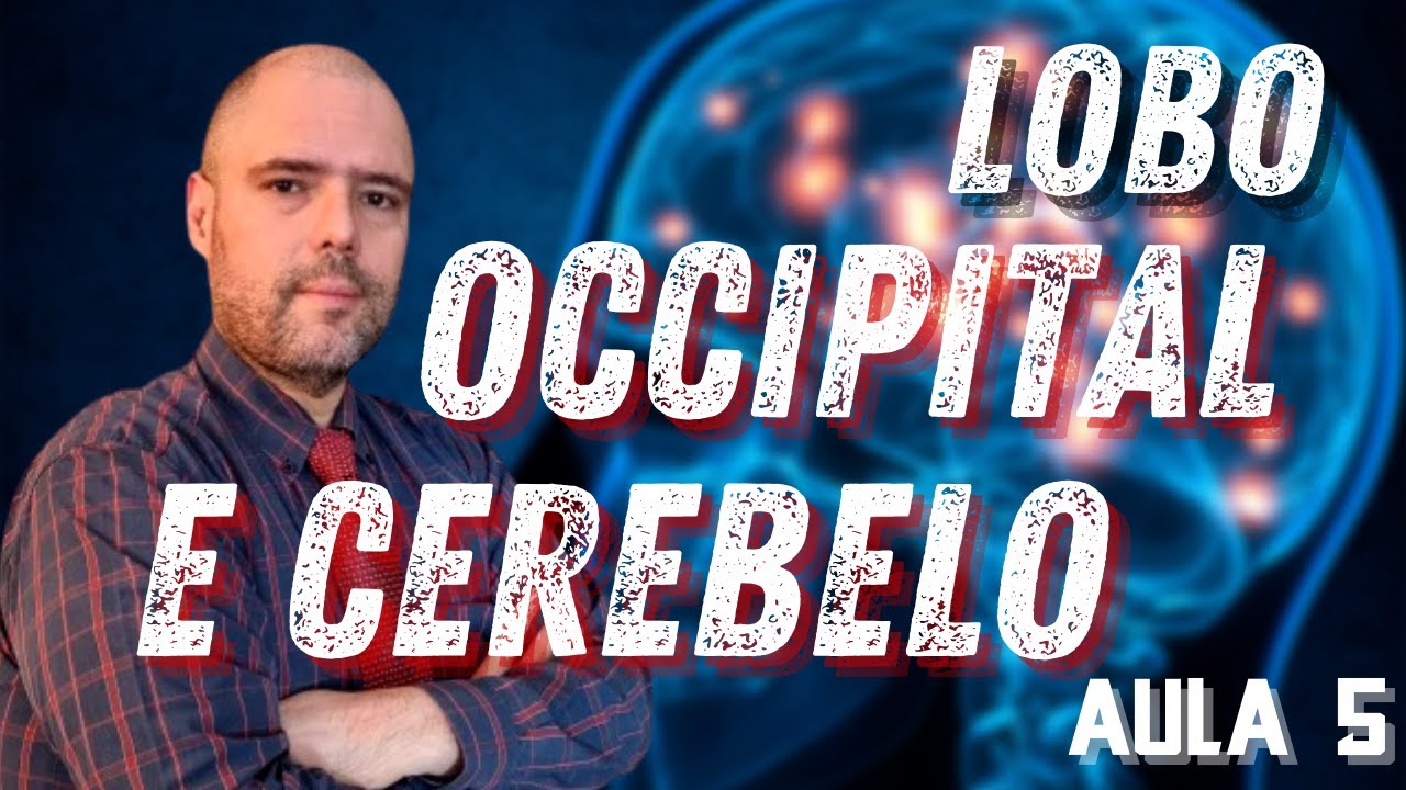 AULA 5 - FUNDAMENTOS DA FISIOLOGIA DO LOBO OCCIPITAL E CEREBELO