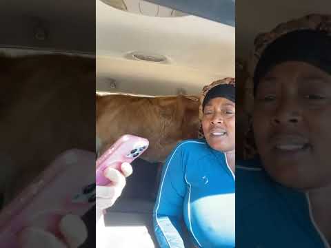 We had to pull over 😫 | Jo'lee Shine, Laquanda and Gabe