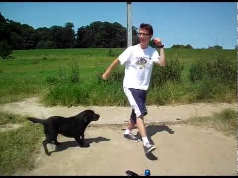 MarioPro65 - Mijn Best