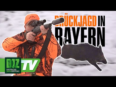 Drückjagd in Bayern – PareyGo Classics