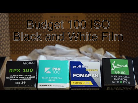 Budget Black and White films 100 ISO