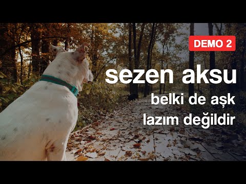 Belki De Aşk Lazım Değildir - Sezen Aksu