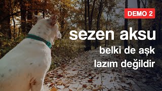 Musik-Video-Miniaturansicht zu Belki De Aşk Lazım Değildir Songtext von Sezen Aksu