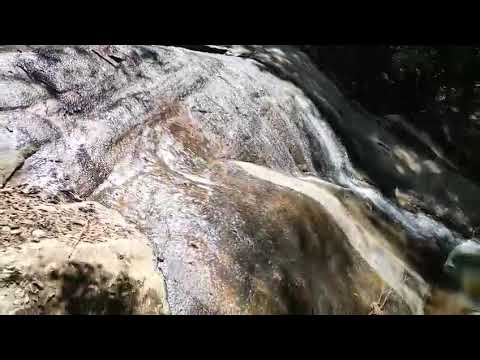 Sítio com Plantação de Café e Banana à Venda em Pedralva-MG