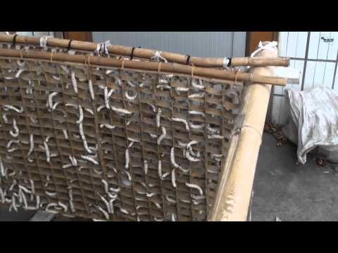 SILKBODY STORY, die Geschichte von Silkbody