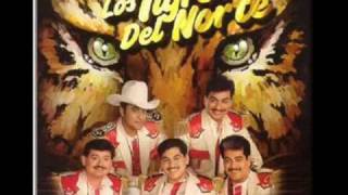 Los tigres del norte - Un mar de vino