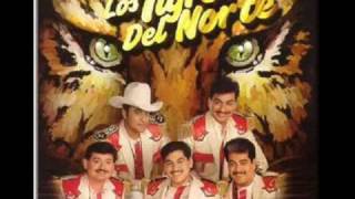 Los tigres del norte - Un mar de vino