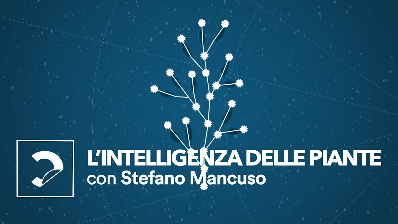 Stefano Mancuso | L'intelligenza delle piante