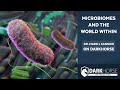 Microbiomes And The World Within Mark L Cannon DDS MS On DarkHorse