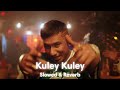 Kuley Kuley Slowed Reverb Honey 3 0 Yo Yo Honey Singh Apache Indian Zee Music Originals