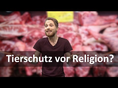 Schlachtverbot - Glauben vor Tierschutz?