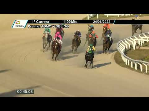 220624 c11 - A. P. LOVE - HIPODROMO LAS PIEDRAS