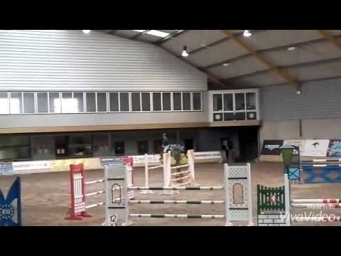 7 yr old Canoso x Balou de Rouet gelding