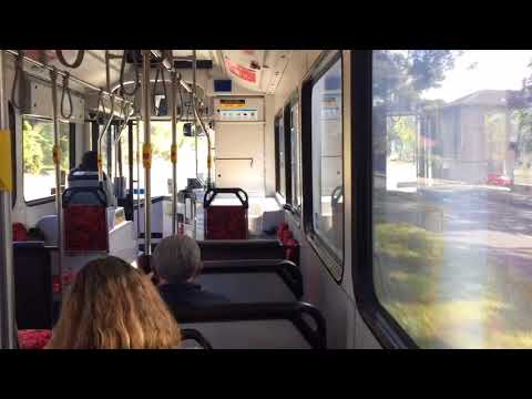 Sydney Buses 1821 ST - Mercedes-Benz O500LE CNG (Loud ZF)