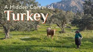 Where Wild Beauty Meets Ancient Ruins in Turkey | Perfect Spring Day a