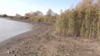 preview picture of video 'Secarea barajului din Comuna Liebling,jud. Timis  23.10.2010 partea 2.wmv'