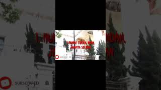 Download lagu 7. RUMAH ANGKER TERBENGKALAI DI INDONESIA#angker #horrorstories #misteri#shorts mp3 Download lagu 7. RUMAH ANGKER TERBENGKALAI DI INDONESIA#angker #horrorstories #misteri#shorts mp3