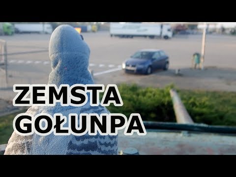 Popił ? To bawi sie gołunpem. Odc.211