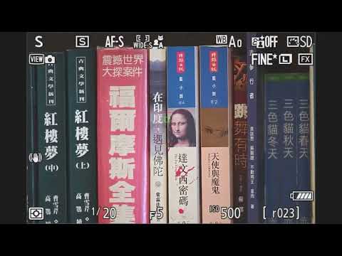 Nikon NIKKOR Z 400mm F4.5 VR S VR framing