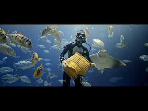 2018 金馬影展TGHFF | 楔子 till next time