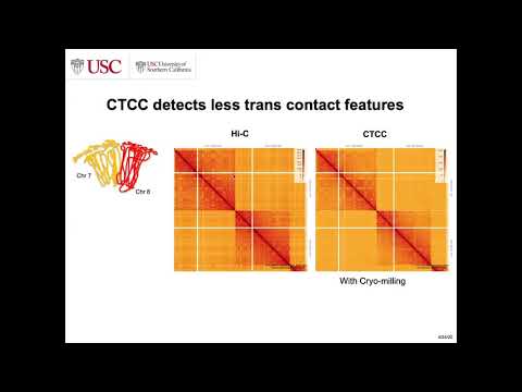 Cryo-Milling TCC-Based Mapping of Genome-Wide Chromatin Contacts