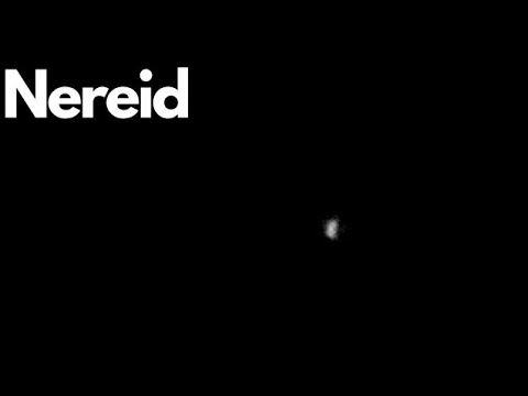 Exploring Nereid: Neptune's Mysterious Moon