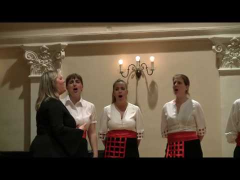 Klapa Falkuša - Ti gariful ki san brala - HGZ 21.5.2010.