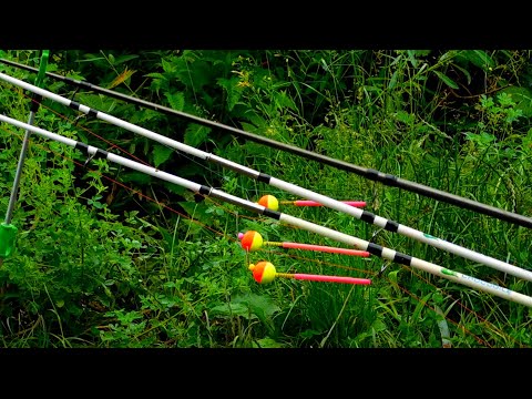 🇺🇦Карась ОЗВЕРЕЛ после ПАВОДКА рвет губы,клюёт только закинь на убийцу карася и кормак