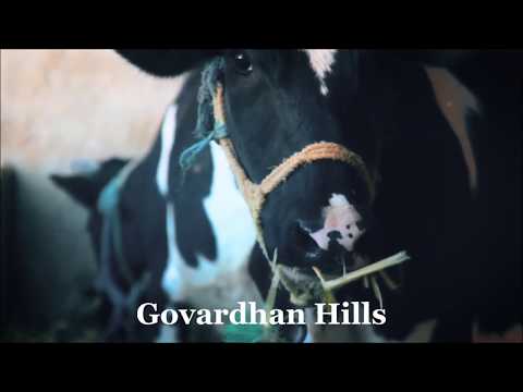 Govardhan Hills Is Mainly Gopalan Project