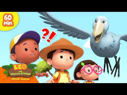 Witness21 Editor  2024 02 24