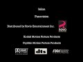 Angry Birds The Movie 2007 Closing Logos By Wideo Co