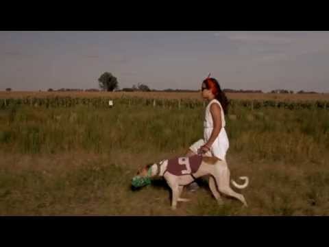 El mató a un policía motorizado - El Magnetismo (Video oficial)